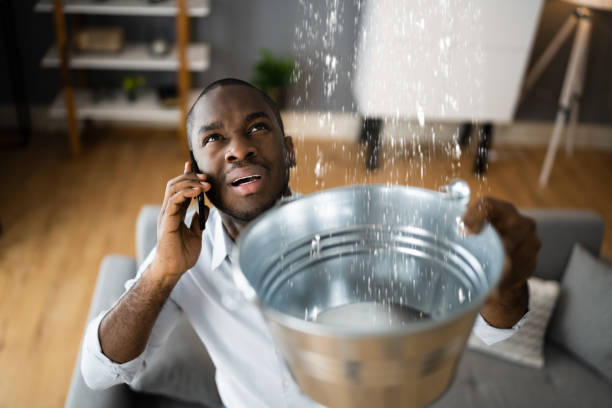 Best Carpet water damage restoration  in Wellington, OH