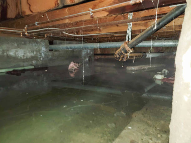 Best Water damage restoration cost  in Wellington, OH