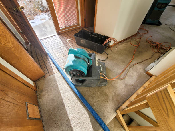 Best Water damage restoration near me  in Wellington, OH