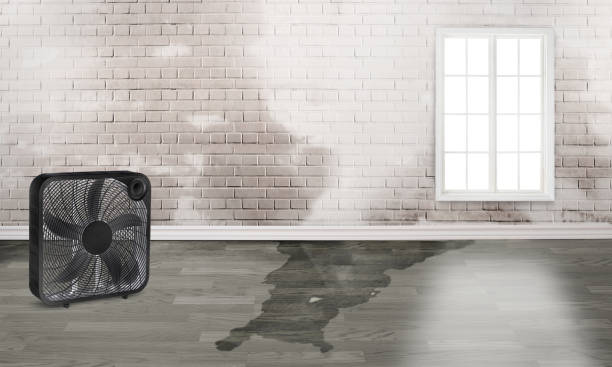 Water damage restoration process in Wellington, OH