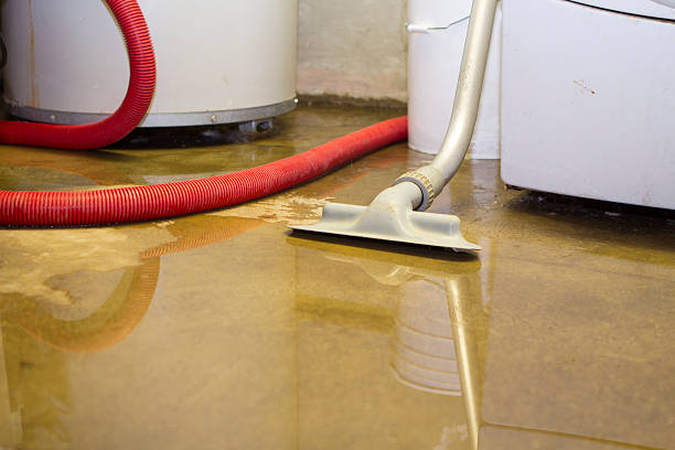 Best Basement water damage restoration  in Wellington, OH