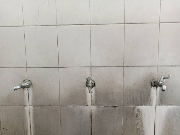Water damage restoration insurance claims in Wellington, OH