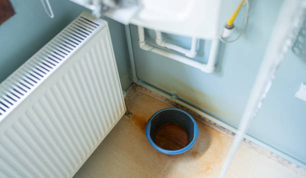 Best Water damage cleanup near me  in Wellington, OH