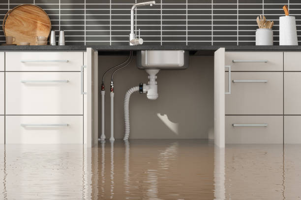 Best Carpet water damage restoration  in Wellington, OH
